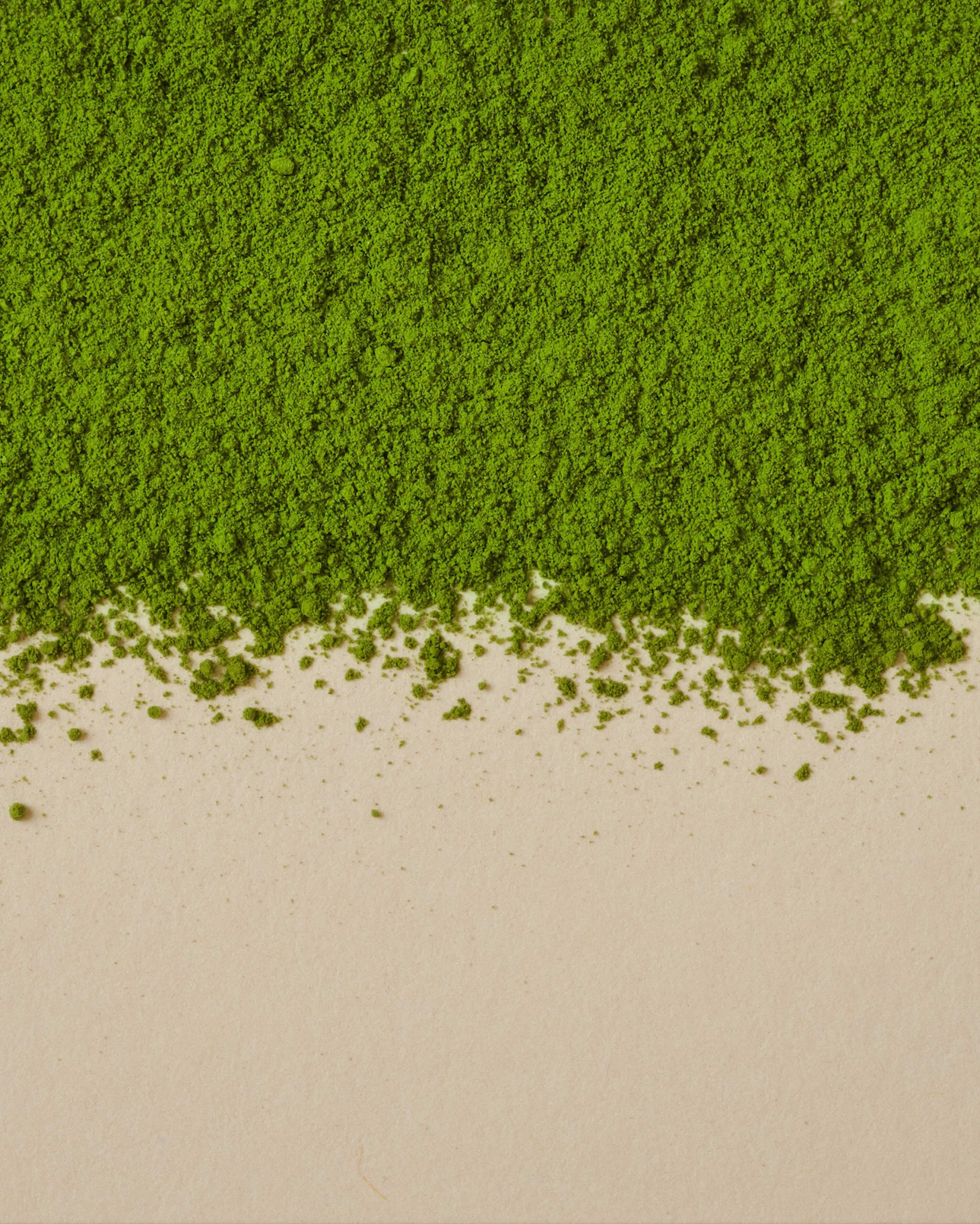 Daily Ceremonial Grade Uji Matcha