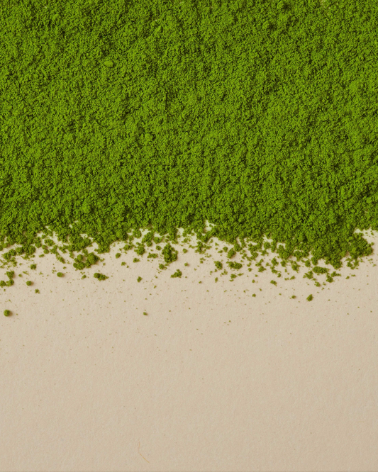 Daily Ceremonial Grade Uji Matcha
